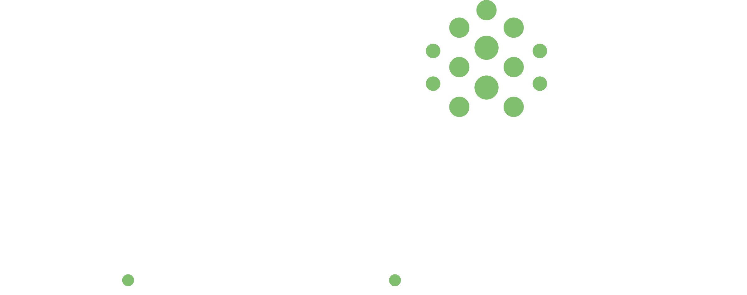 spawntree GmbH - Ihr Partner für Webentwicklung, E-Commerce und Digitalisierung von Geschäftsprozessen